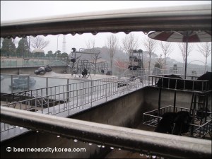 100-150 bears reside at the park