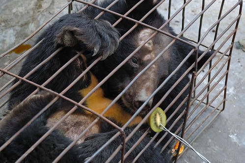 16210915285_18e9798de4